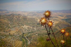 [2026년 40대 직장인 필독] 클릭 한 번으로 잠자는 내 돈 찾는 법 (숨은 정부지원금, 환급금 총정리)